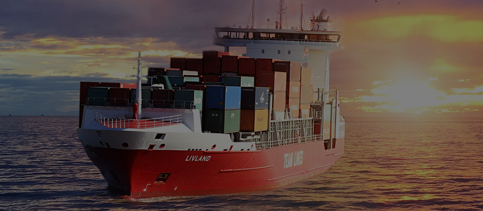 Efficient · Stable · Global Dedicated Line_Customs Brokerage|International Logistics|Shenzhen Import and Export Agency|Huali Shunxin
Freight Forwarding Co., Ltd.